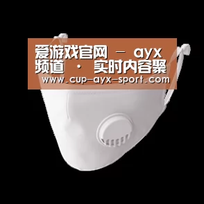 N95 口罩