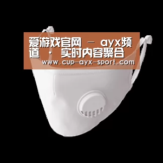 N95 口罩