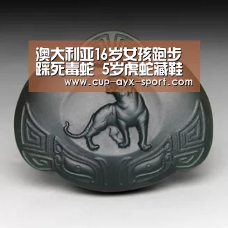 澳大利亚16岁女孩跑步踩死毒蛇 5岁虎蛇藏鞋内(图)_爱游戏体育(图1) 爱游戏首页