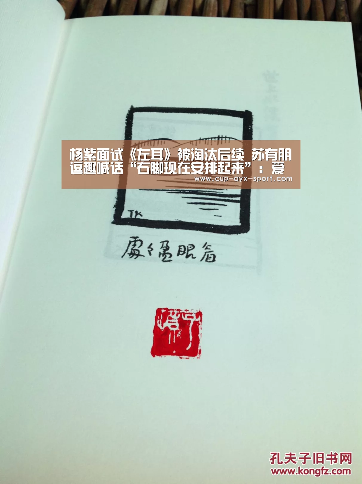 杨紫面试《左耳》被淘汰后续 苏有朋逗趣喊话“右脚现在安排起来”:爱游戏官网(图1) 爱游戏体育