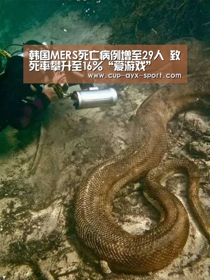爱游戏首页