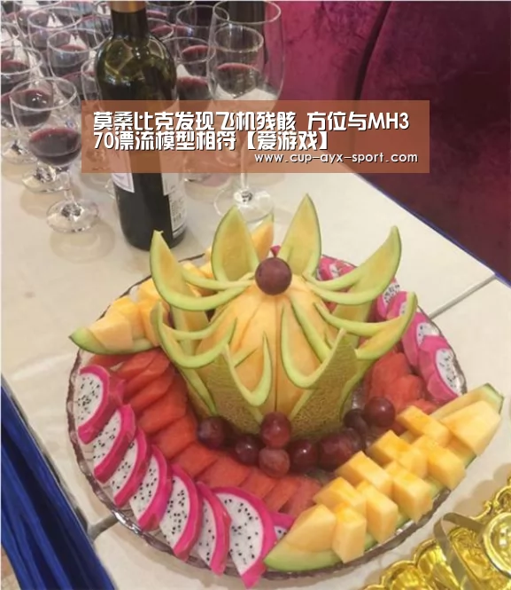 莫桑比克发现飞机残骸 方位与MH370漂流模型相符【爱游戏】(图1) 爱游戏官网