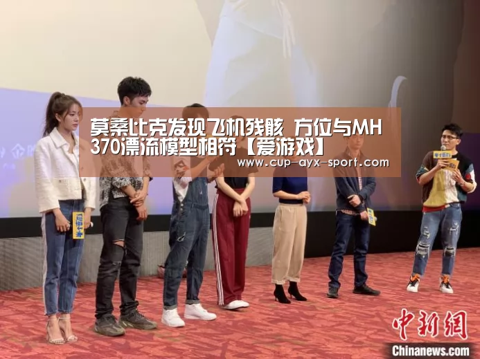 莫桑比克发现飞机残骸 方位与MH370漂流模型相符【爱游戏】(图3) 爱游戏