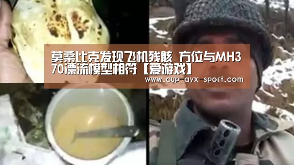 莫桑比克发现飞机残骸 方位与MH370漂流模型相符【爱游戏】(图4) 爱游戏官网