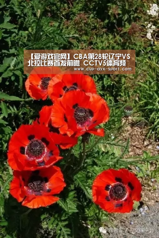 【爱游戏官网】CBA第28轮辽宁VS北控比赛首发前瞻 CCTV5体育频道直播(图3) 爱游戏首页